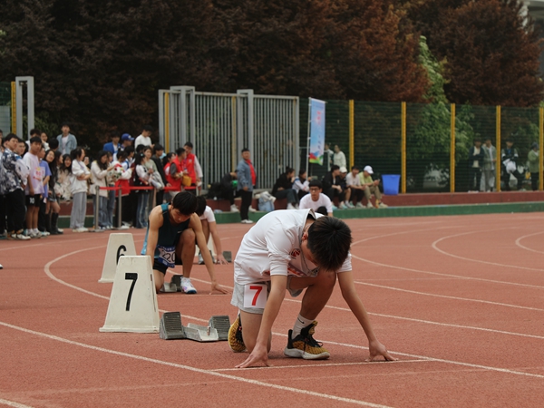 官网15.jpg
