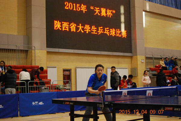 DSC_7919.JPG